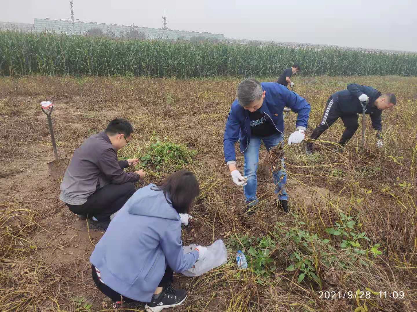 W020211011118769008558 J9国际集团(中国)-官方网站